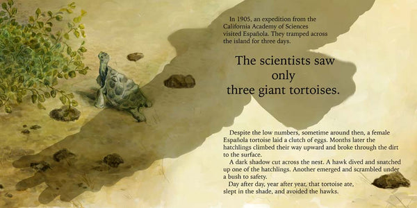 Diego, the Galapagos Giant Tortoise, Another Extraordinary Animal series, nonfiction STEM picture book, ages 7-12, by Darcy Pattison
