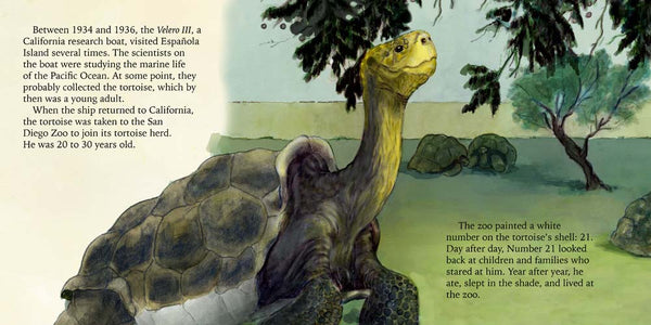 Diego, the Galapagos Giant Tortoise, Another Extraordinary Animal series, nonfiction STEM picture book, ages 7-12, by Darcy Pattison