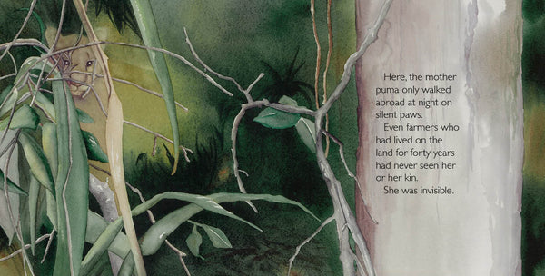 Abayomi, the Brazilian Puma, Another Extraordinary Animal, nonfiction STEM picture book, ages 7-12. An orphaned puma cub sruvives.