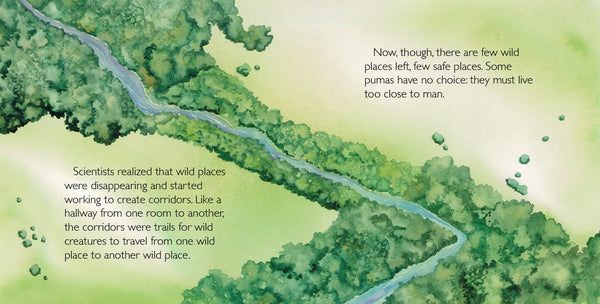 Abayomi, the Brazilian Puma, Another Extraordinary Animal, nonfiction STEM picture book, ages 7-12. An orphaned puma cub sruvives.