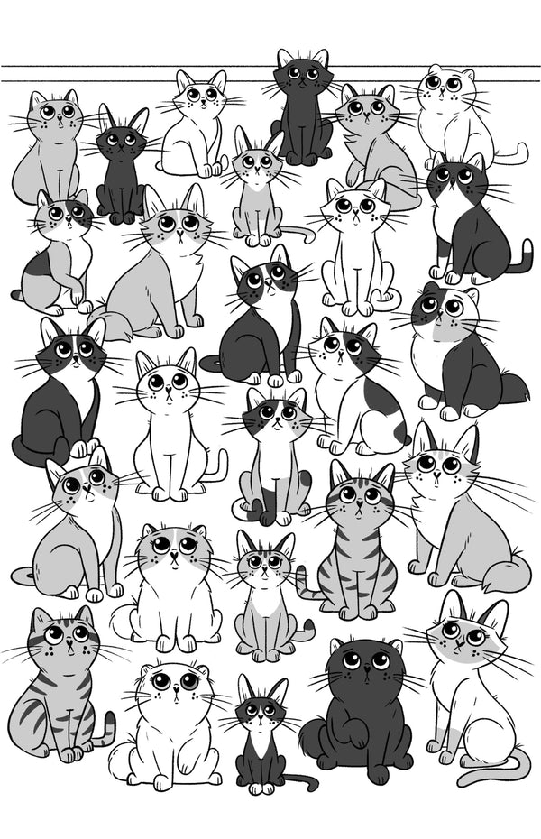 The Kitten Stars, The Kittytubers Series, middle grade chapter books about internet kitten stars. by Darcy Pattison, ages 8-12