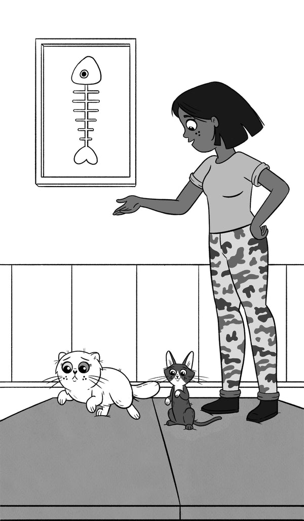 The Kitten Stars, The Kittytubers Series, middle grade chapter books about internet kitten stars. by Darcy Pattison, ages 8-12