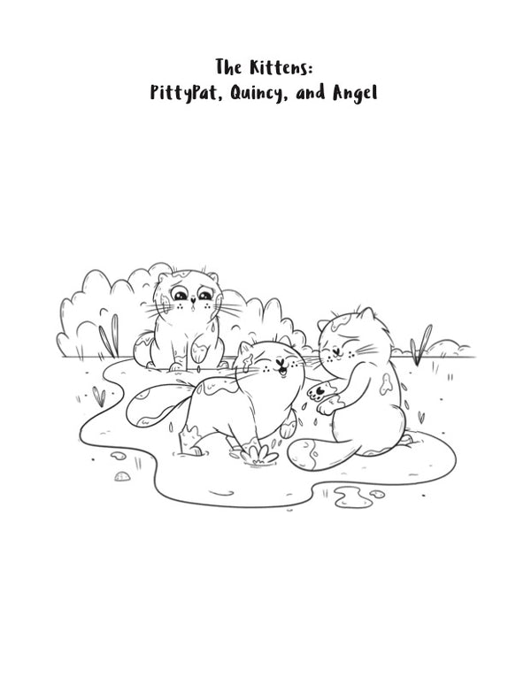 Kittytubers series. Follow the kittens as they try to become Kittytube stars. Coloring book for 7-12 year olds.
