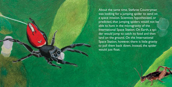 Nefertiti, Another Extraordinary Animal, nonfiction STEM picture books by Darcy Pattison, ages 7-12. Spider in space.