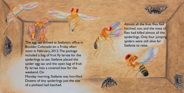 Nefertiti, Another Extraordinary Animal, nonfiction STEM picture books by Darcy Pattison, ages 7-12. Spider in space.