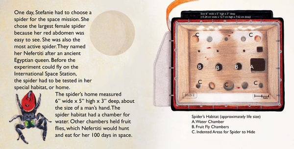 Nefertiti, Another Extraordinary Animal, nonfiction STEM picture books by Darcy Pattison, ages 7-12. Spider in space.