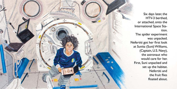 Nefertiti, Another Extraordinary Animal, nonfiction STEM picture books by Darcy Pattison, ages 7-12. Spider in space.