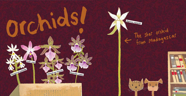 Pollen, Moments in Science books, nonfiction STEM picture books by Darcy Pattison, ages 7-12.