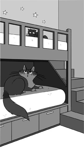 Kitten Friends, The Kittytubers series about internet kittens, middle grade, ages 8-12, by Darcy Pattison