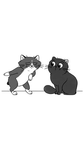 Kitten Friends, The Kittytubers series about internet kittens, middle grade, ages 8-12, by Darcy Pattison