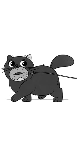 Kitten Friends, The Kittytubers series about internet kittens, middle grade, ages 8-12, by Darcy Pattison