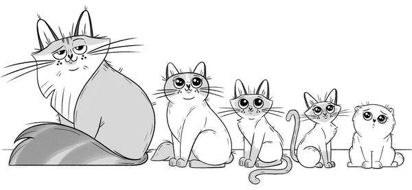 When Kittens Go Viral, The Kittytubers Series, middle grade chapter books about internet kitten stars. by Darcy Pattison, ages 8-12