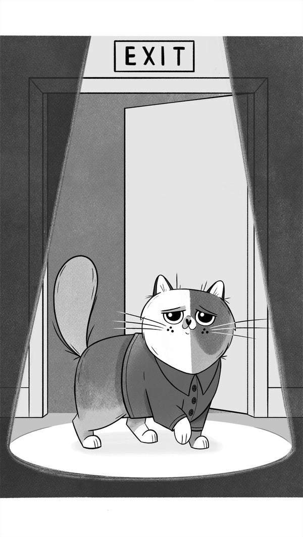 When Kittens Go Viral, The Kittytubers Series, middle grade chapter books about internet kitten stars. by Darcy Pattison, ages 8-12