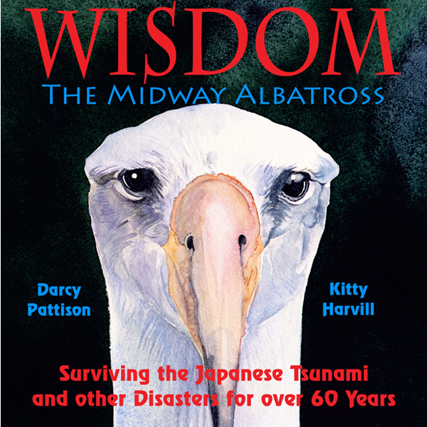 Wisdom, the Midway Albatross, Another Extraordinary Animal series of nonfiction STEM picture books by Darcy Pattison, ages 7-12.