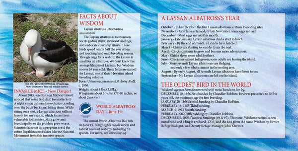 Wisdom, the Midway Albatross, Another Extraordinary Animal series of nonfiction STEM picture books by Darcy Pattison, ages 7-12.