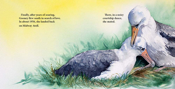 Wisdom, the Midway Albatross, Another Extraordinary Animal series of nonfiction STEM picture books by Darcy Pattison, ages 7-12.