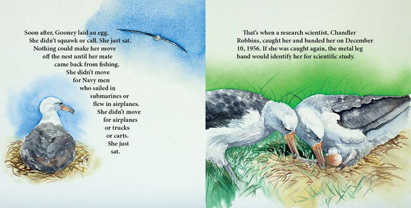 Wisdom, the Midway Albatross, Another Extraordinary Animal series of nonfiction STEM picture books by Darcy Pattison, ages 7-12.