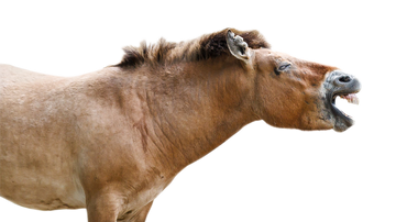 40 Years After the Chornobyl Disaster