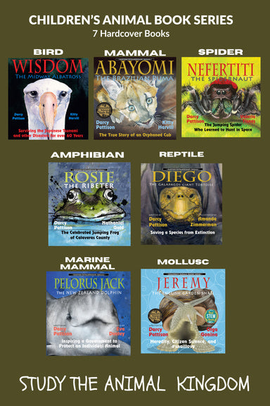 Book Cover Variant Thumbnail