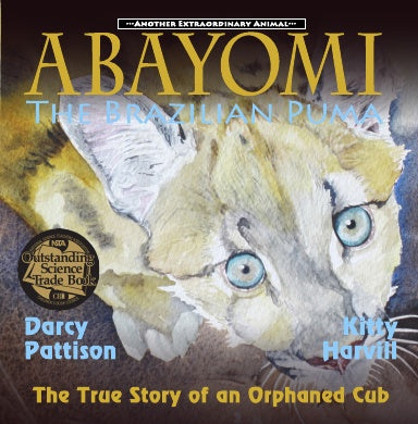 Book Cover Variant Thumbnail