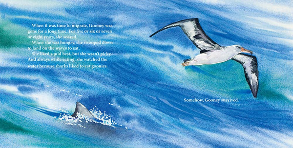 Wisdom, the Midway Albatross | Starred PW